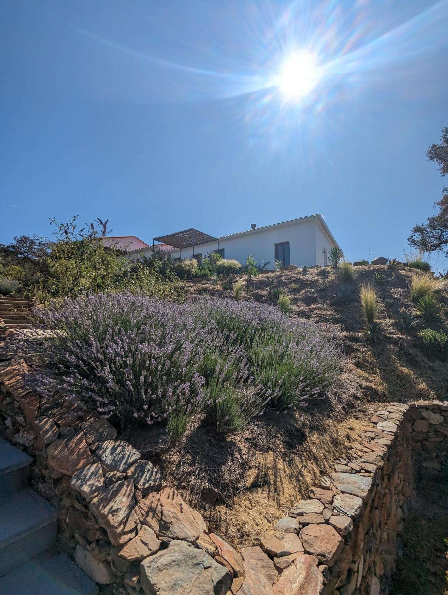 Finca Bravo Cortegana Eksteriør billede